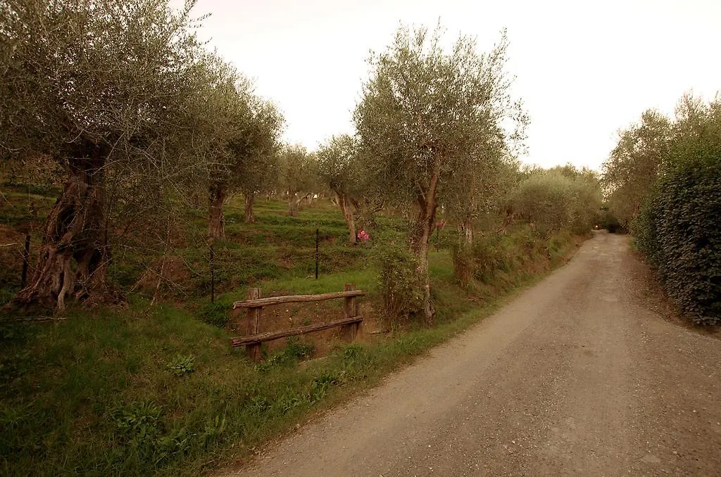 Fattoria di Camporomano Massarosa Italia