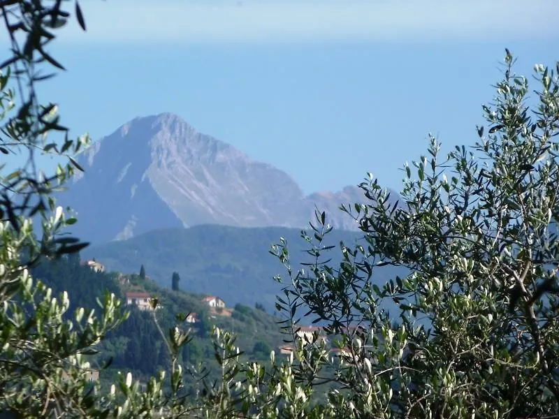 Fattoria di Camporomano Massarosa Alloggio per agriturismo
